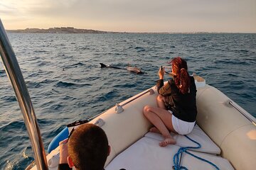 Private Dolphin Watching And Snorkeling Tour