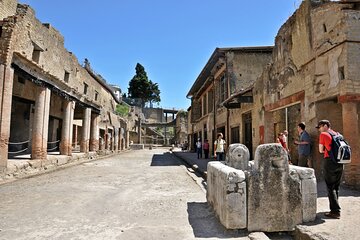 Herculaneum Half-Day Trip from Naples with Lunch