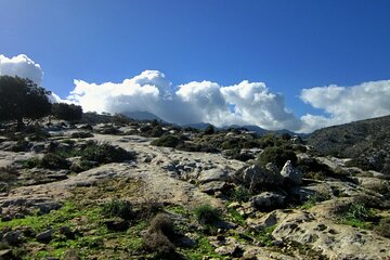 Trekking Unknown Gorges in the Region of Rethymno