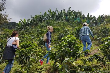 Magical Views of the Coffee Region - Cittaslow Three Towns