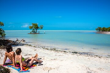 Awesome Holbox Tour. Ferry, Lunch & Punta Mosquito visit included