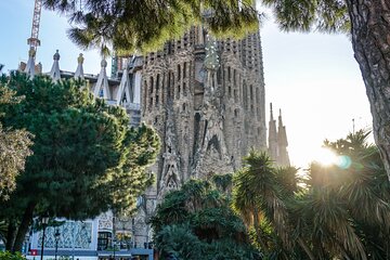 Half-day Best of Barcelona Tour including Sagrada Familia