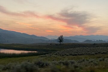 Private Evening/Sunset Wildlife Encounter Tour