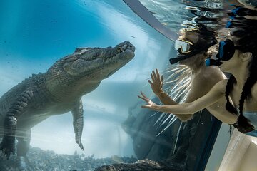 Wildlife Habitat Port Douglas
