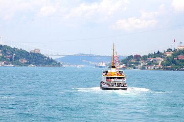 8 Day Private Tour of Turkey Istanbul, Troy, Ephesus, Pamukkale