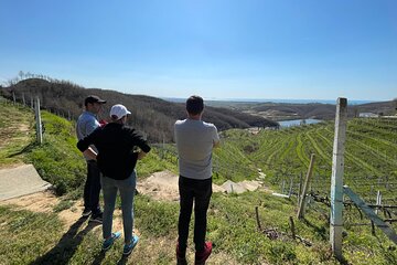 Durres & Wine Tasting Tour 