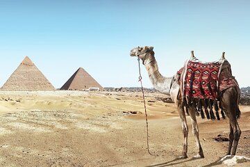 Visit Cairo Over Day, Pyramids, Egyptian Museum, and Lunch - Sharm El Sheikh