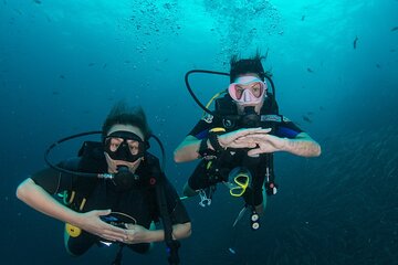 La Bombona Diving Koh Tao Open Water Course