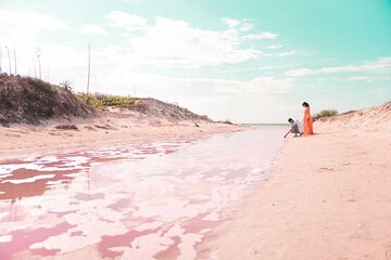 Magical Tour Las Coloradas Natural Pink Lagoon from Riviera Maya