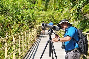 Guided Tour of the National Park Manuel Antonio 