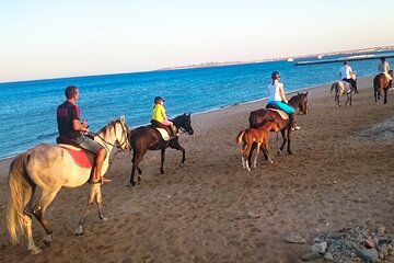 Makadi Bay Horse Ride Tour