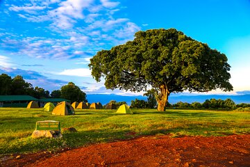 6 Day Private Camping Safari