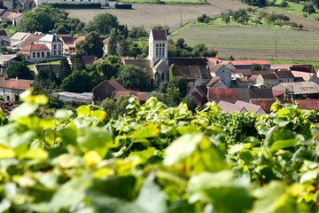 Taittinger Champagne Half Day Private trip from Paris