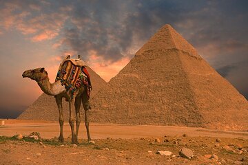 5 days 4 nights tour of the best of Cairo and Alexandria