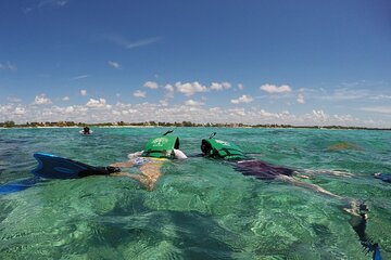 Snorkeling with Caribbean fish and private cenote exploration