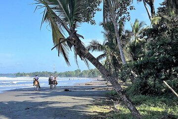 Horseback Riding Tour and Cahuita National Park