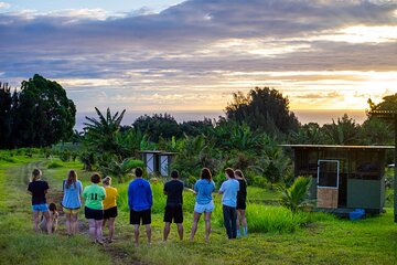 Big Island Farms Tour in Hawaii