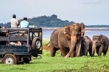 GO WILD! Double Safari Day Trip (Yala & Udawalawe) - Private & All Inclusive 