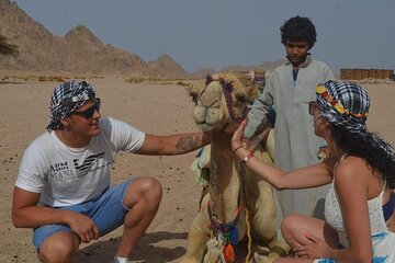  Desert Quad, Jeep, Camel and Buggy Safari with BBQ Dinner