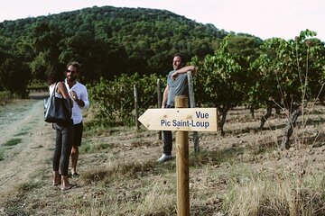 Winetour and homemade food experience in Pic St Loup