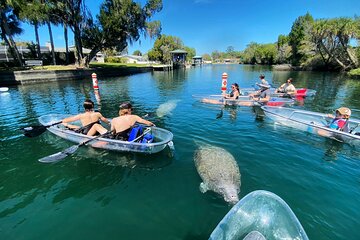 Clear Kayak Tour of Crystal River