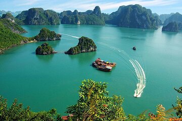 Halong Bay Cruise 1 Day - 2 Days/1 Night or 3 Days/2 Night included Pick up