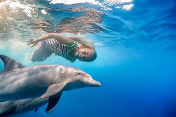 Dolphin House with Snorkeling & Lunch in Hurghada