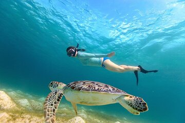 Turtles Snorkel and Tulums ruins from Cancun to Playa del Carmen