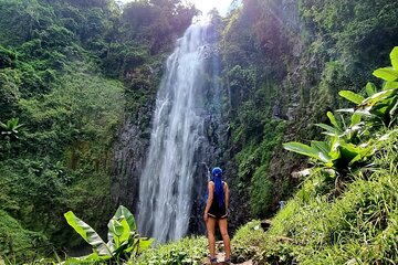 Discover Nature and Culture of Materuni Waterfall & Coffee Tour