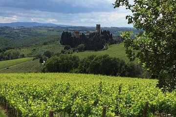 Lucca Private Day Tour to Chianti & San Gimignano