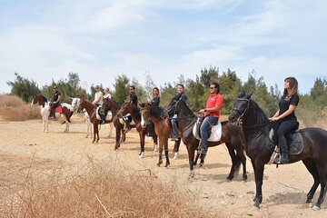  Horse Riding 1 Hour adventure and ATV Quad Bike Safari Tour - Sharm El Sheikh