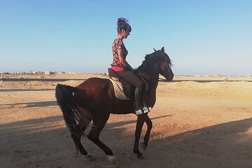  Horse Riding 1 Hour adventure and ATV Quad Bike Safari Tour - Sharm El Sheikh