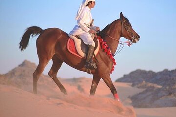 Horse Ride Trip 1 Hour and Bedouin Dinner, Egyptian Show - Sharm El Sheikh