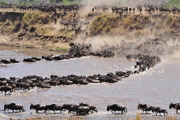 Private 14-Day Tanzania Wildebeest Migration Tour in Serengeti