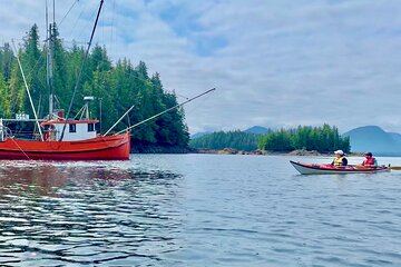 Orca Cove Sea Kayaking