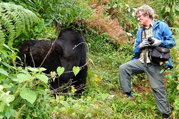 11-Day Uganda Safari Experience Tour with Pick Up