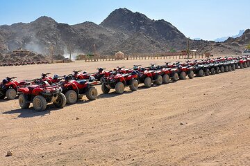 El Gouna Morning Quad bike Safari