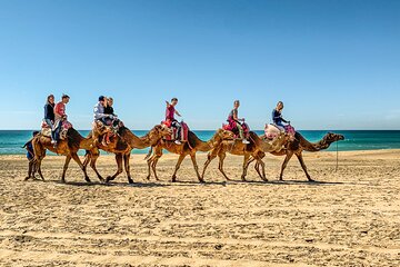 ESSAOUIRA 1 Day Private Trip from Marrakech