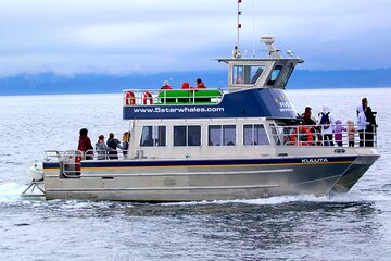 Whale Watching Cruise with Expert Naturalists