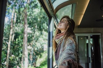 Cusco: Full-Day Tour to Machu Picchu by 360° train