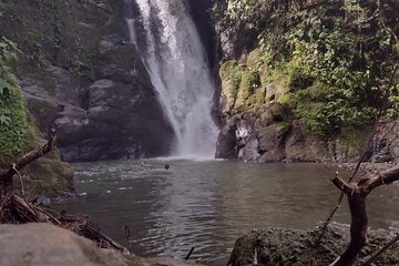 Chocolate native indigenous tour and waterfall adventure