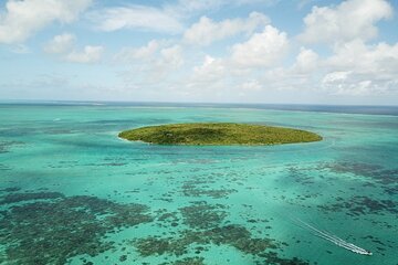 Marvelous East of Mauritius: Visit Ile Aux Aigrettes, Rhumerie St-Aubin & Lunch