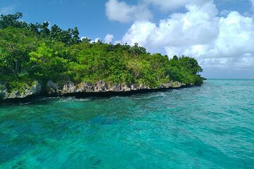 The Discovery East Tour: incl Crocodile park, visit to Ile Aux Aigrettes & Lunch