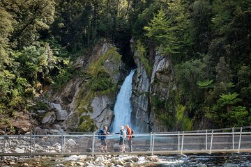 Half-Day Milford Track Guided Hiking Tour