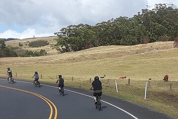 1pm Haleakala Unguided Downhill Tour 