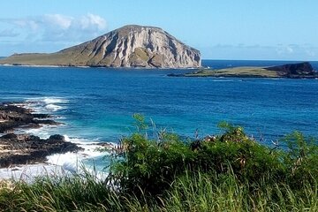 Luxury Oahu Island Tour, Private and Customizable (4 adults max)