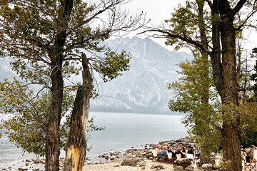 Private Sunset Wildlife Dinner Safari From Jackson WY
