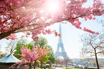 Live, Laugh, Love along the Seine Quest Experience in Paris