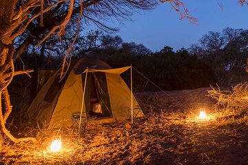 All Inclusive 3 Day Kruger Camping Safari Adventure