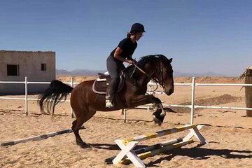 Hurghada Horse Riding